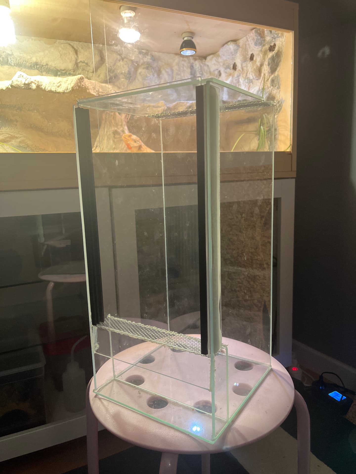 Glass terrarium 20x20x40 on Terra Market