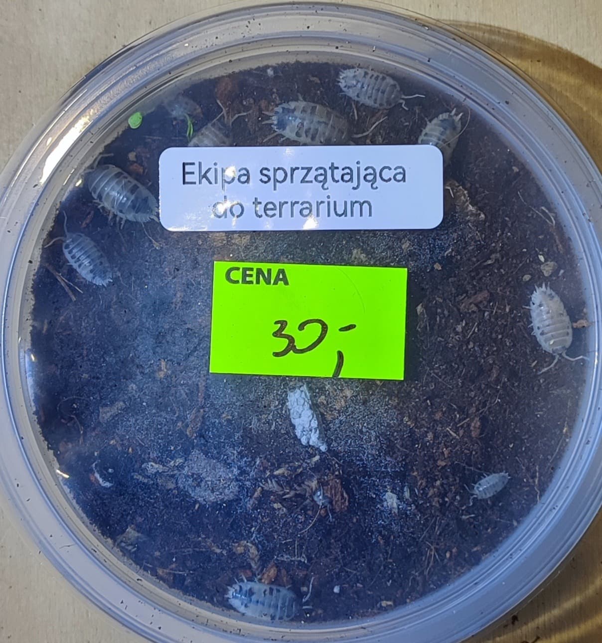 Ekipa sprzątająca isopody + skoczogonki 250ml