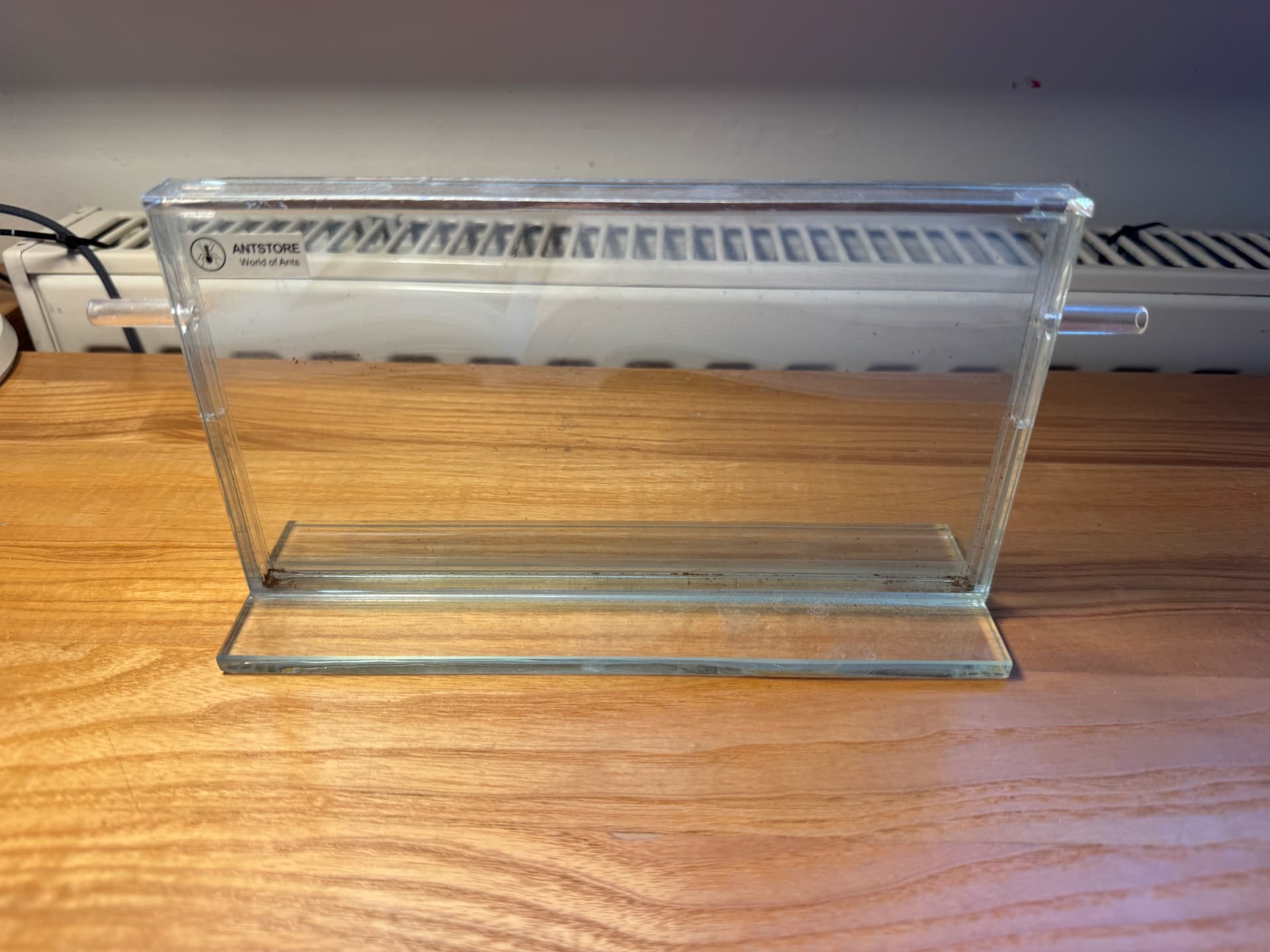 Terrarium szklane dla mrówek ziemne on Terra Market