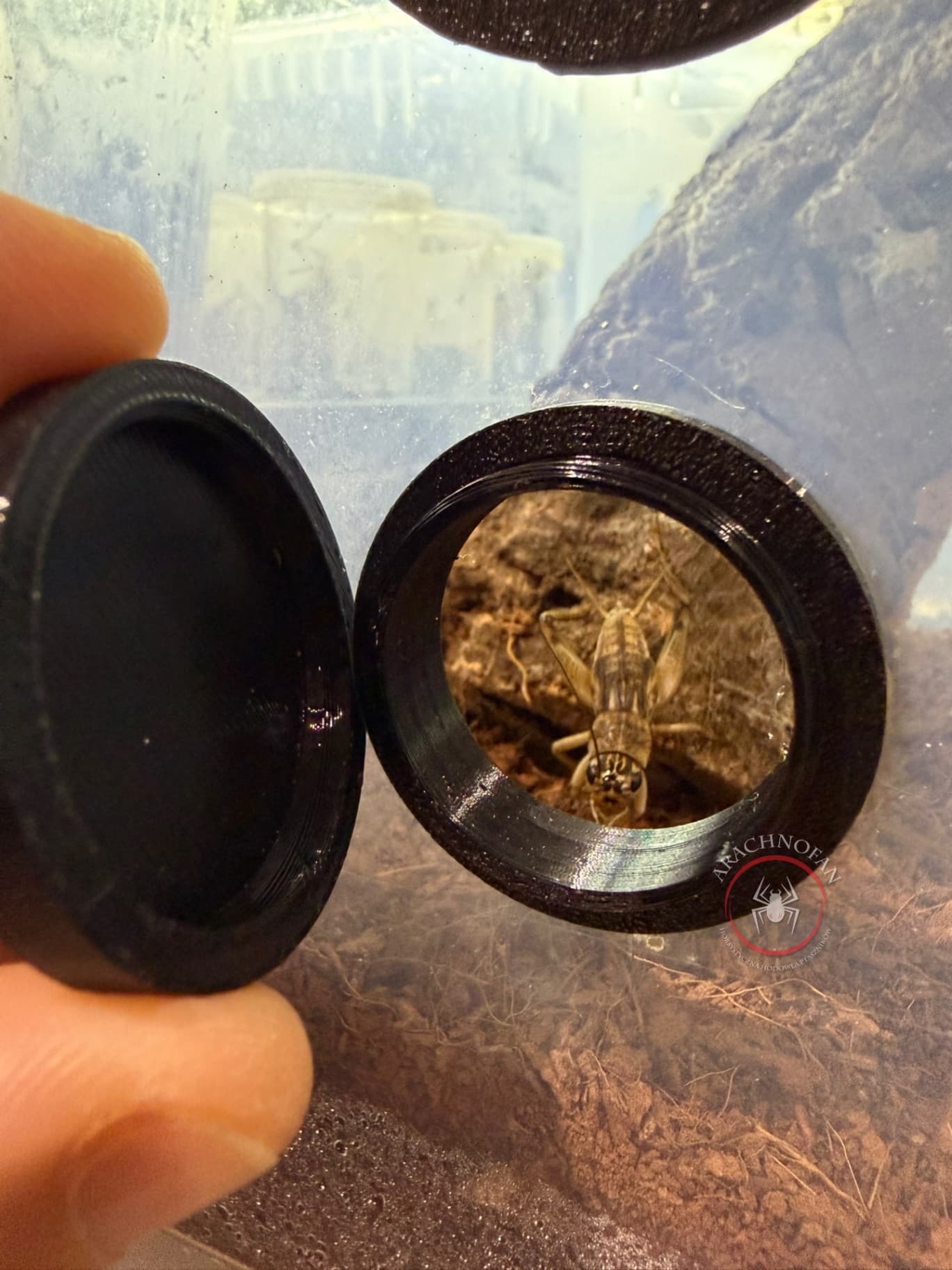 Feeding port 10pcs on Terra Market