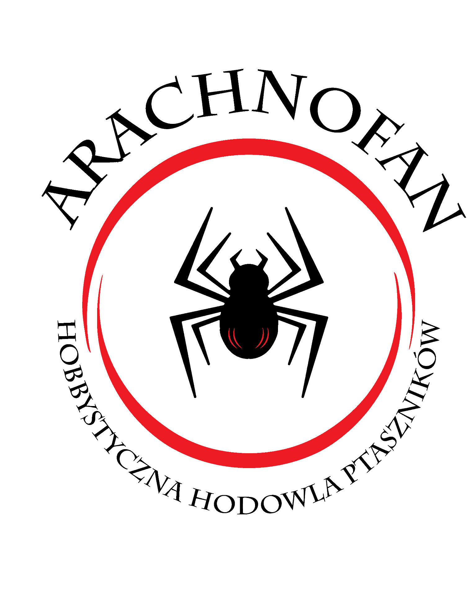 Otwornica 45mm średnica on Terra Market