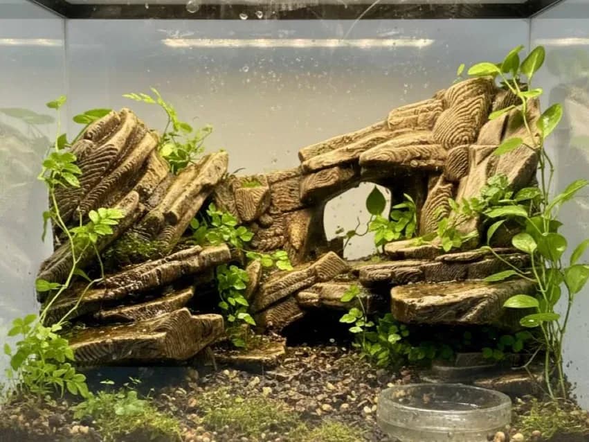 Ścianka Skalna z Półkami i Łukiem – Tło Strukturalne, Dekoracja do Terrarium on Terra Market